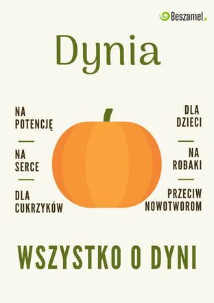 Dynia - e-poradnik logo