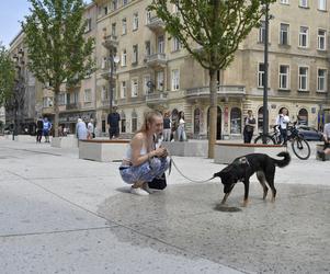 Nowy plac w centrum Warszawy: zgroza czy sukces? Plac Pięciu Rogów oceniają mieszkańcy i urzędnicy