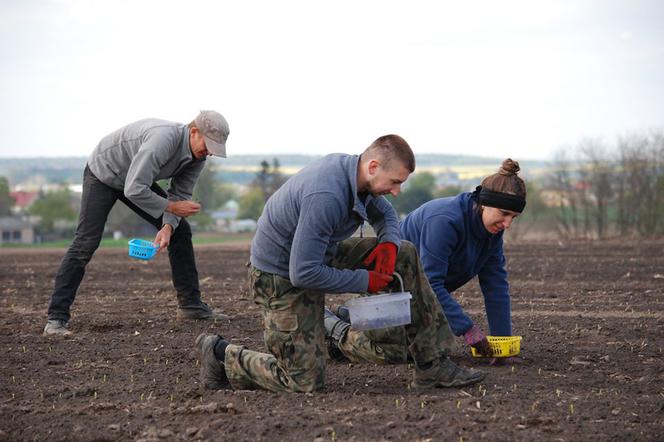 Hrubieszów: Archeolodzy znaleźli ogromną ilość eksponatów. To miejsce było intensywnie wykorzystywane