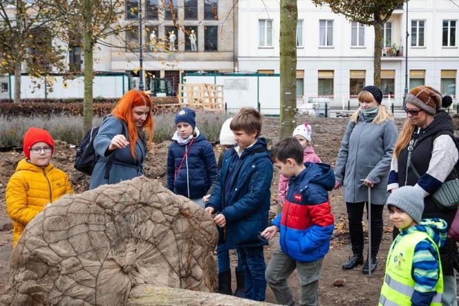 Plac Trzech Krzyży - drzewa mają swoich patronów 