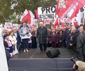 Protest PiS StopPatoWładzy [ZAPIS RELACJI LIVE]