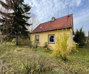 Metamorfoza siedliska na Mazurach