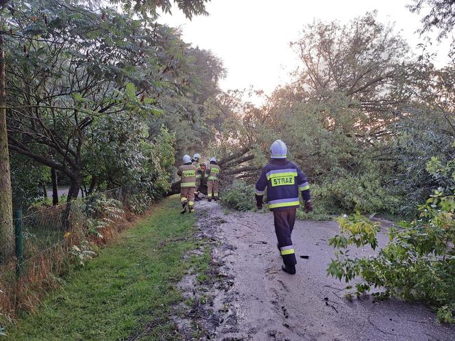 Podlaskie. Ponad 200 niedzielnych interwencji strażaków w związku z silnym wiatrem i burzami