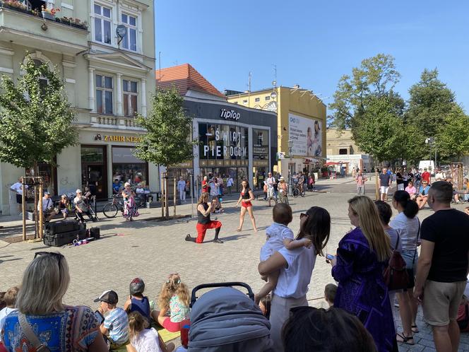 Busker Tour 2024 w Zielonej Górze