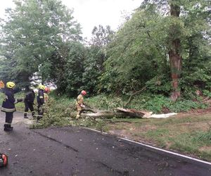 Groźne burze przechodzą przez woj. lubelskie