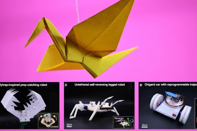 Te roboty są wzorowane na sztuce origami. To daje im specjalne zdolności