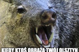 Najlepsze memy o Olsztynie. Z tego śmieją się internauci