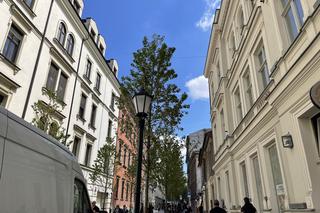 Zieleń w centrum miasta. Tak zmienia się ul. Krupnicza w Krakowie! 