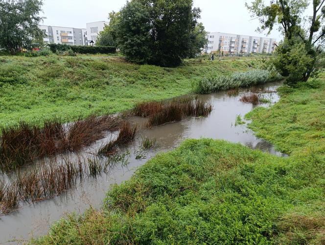 Sytuacja pogodowa we Wrocławiu i okolicach