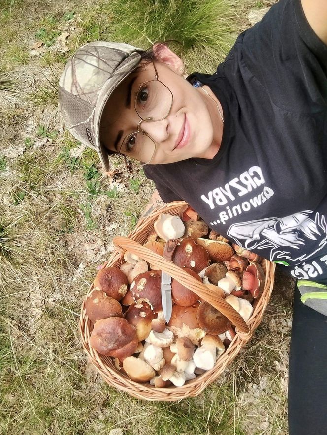 Wysyp grzybów w woj. świętokrzyskim. „Rosną jak na drożdżach”.
