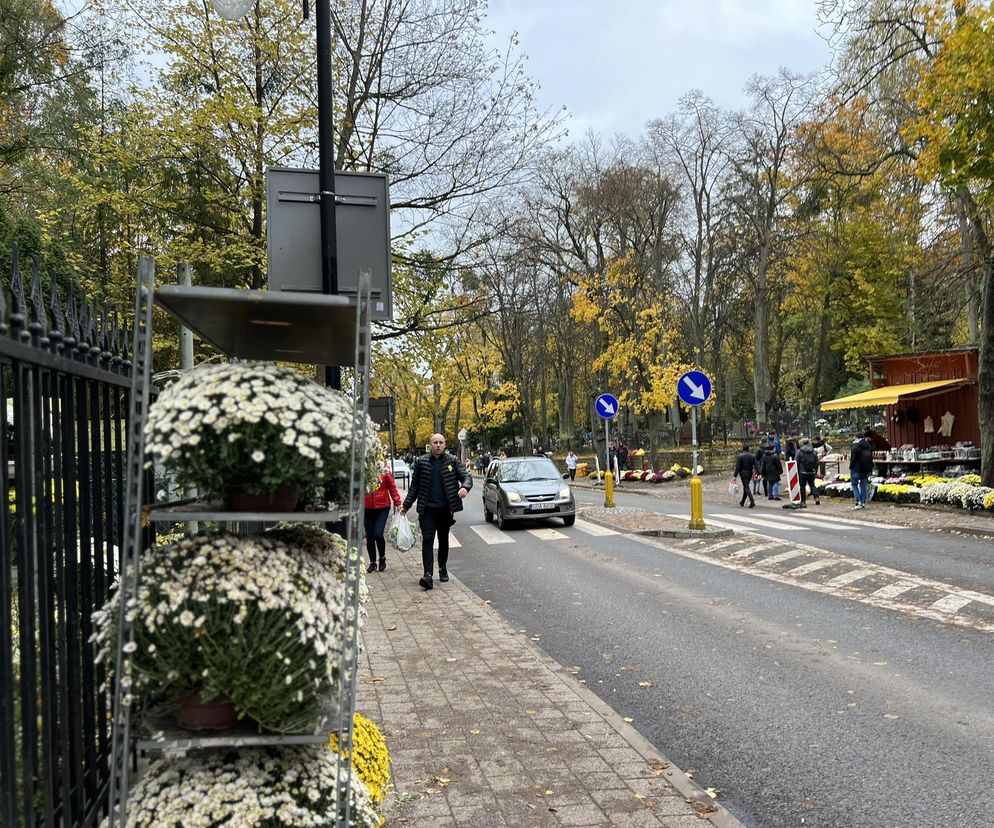 Sopot i zmiany na Malczewskiego. Wszystkich Świętych 2024