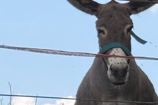 Roxie Węgiel wyjechała z Polski i pokazała piękne kadry! Tak piosenkarka spędza czas na wakacjach