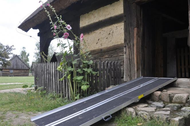 Koordynatorzy dostępności i ich obowiązki 