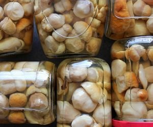 Grzyby marynowane w słodko-kwaśnej zalewie – przepis na idealną, delikatną marynatę octową