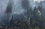 Lubelskie: Strażacy przez kilka dni walczyli z pożarem lasu. Do pomocy użyto nawet samolotu [GALERIA]