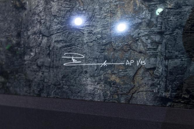 6 milionów za zdjęcie