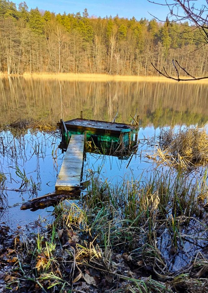 Trójkąt śmierci. Tajemnicze zgony w Miłomłynie