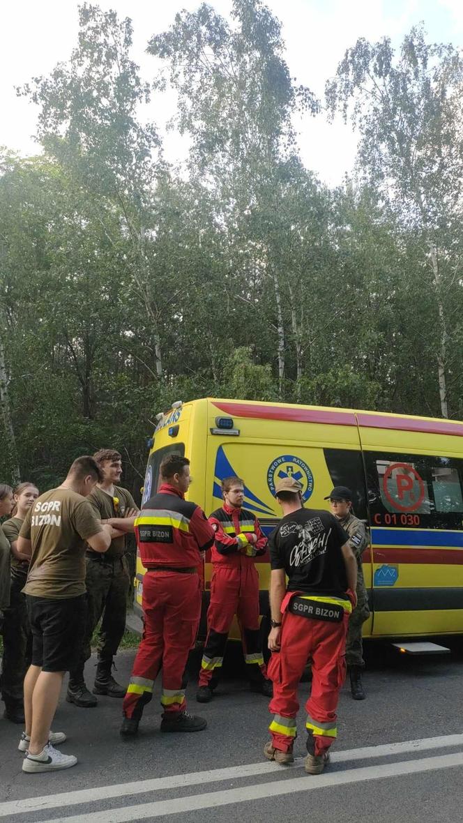 Znaleźli w lesie małe dziecko. Nikt jeszcze nie wiedział, że zaginęło  