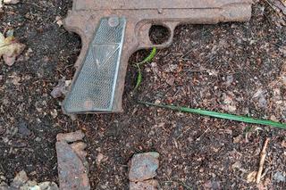 Chodziła po lesie z wykrywaczem metali i znalazła pistolet! Obok dwa pełne magazynki