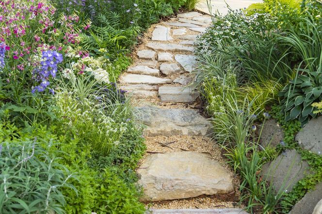 Ścieżka w ogrodzie