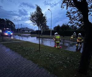 Gwałtowne burze przeszły nad woj. śląskim