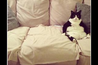 Najlepsze MEMY z okazji Świąt Bożego Narodzenia 2023!