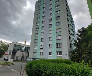 Zabił Katarzynę za klucze. Kobieta została oskarżona o kradzież, potem oprawca sięgnął po nóż