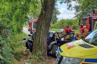 Śmiertelny wypadek pod Skierniewicami. 68-latek uderzył w drzewo [ZDJĘCIA].