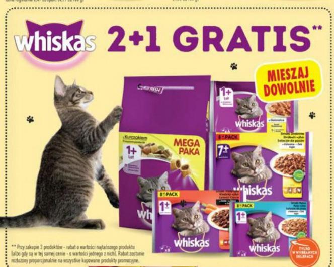 Szalone promocje na Dzień Kota w Biedronce