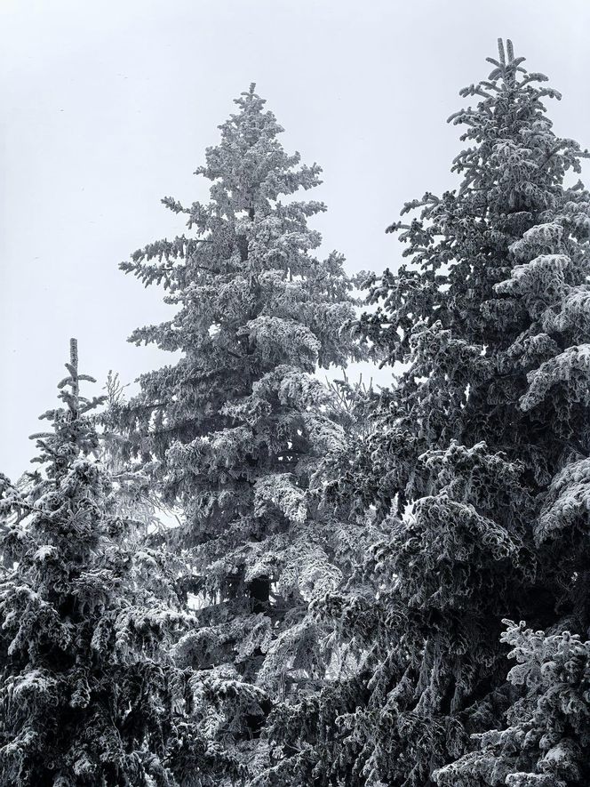 Pierwszy śnieg w Bieszczadach