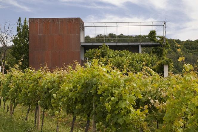 Współczesna architektura i winnice: Winery Brič, Słowenia