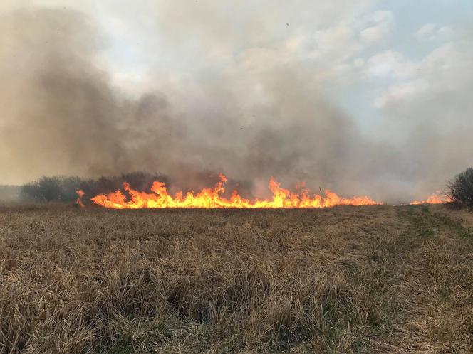 Potężny pożar obszarów chronionych Natura 2000!