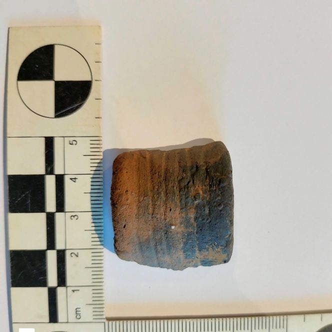 Podkarpacka historia ukryta w ziemi. Cenne znaleziska na budowie S19