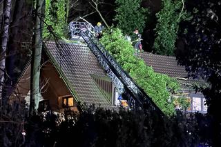 Gigantyczne drzewo runęło do dom jednorodzinny. Dramatyczna akcja ratunkowa w Warszawie