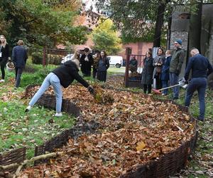 Studenci Politechniki Krakowskiej zbudowali pierwsze „glebarium”