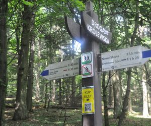 Świętokrzyski Park Narodowy
