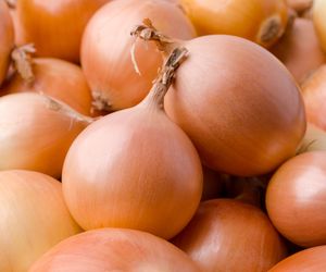 Od zawsze króluje na talerzach Polaków. Działa jak lek na raka i otyłość