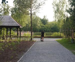 Park Leśny Tetmajera w Bronowicach