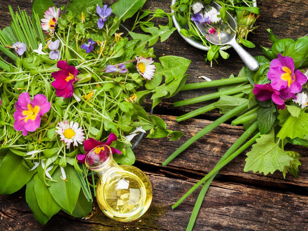 Jadalne chwasty - które dzikie zioła można wykorzystywać w kuchni?