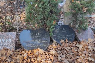 Cmentarz dla zwierząt w Koniku Nowym. Jak wygląda miejsce pochówku czworonożnych przyjaciół?