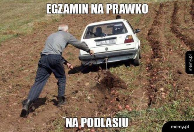 Memy o Podlasiu 2019. Prawdziwy HIT internetu