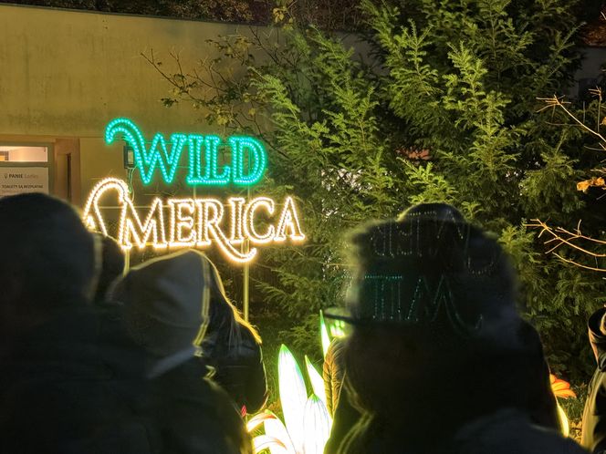 Garden of Lights we Wrocławiu