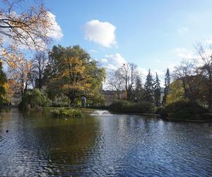 Park Wilsona