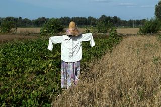 Skansen Osadnictwa Nadwislanskiego w Wiaczeminie Polskim