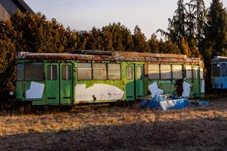 Zobacz kolekcję starych tramwajów w prywatnym ogrodzie - zdjęcia. Wagony stoją na działce w Warszawie