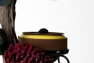 Sukces młodego cukiernika z Bydgoszczy! Kamil Poćwiardowski zachwycił na mistrzostwach świata 