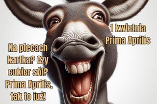 Kartki śmieszne Prima Aprilis 1 kwietnia