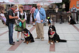 Barwna parada psów w Tarnowie! Tyle słodziaków w jednym miejscu!
