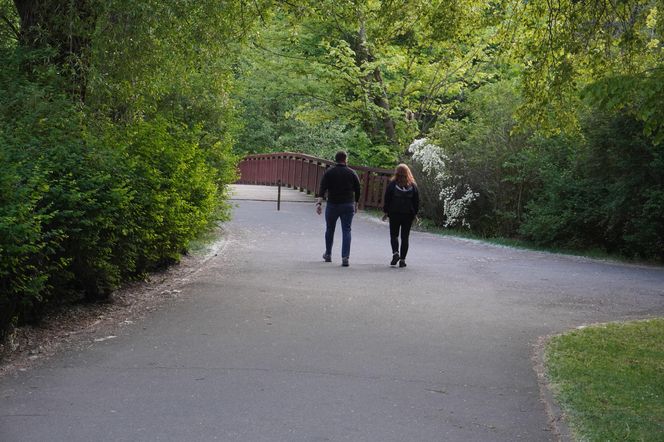 1. Park Sołacki 