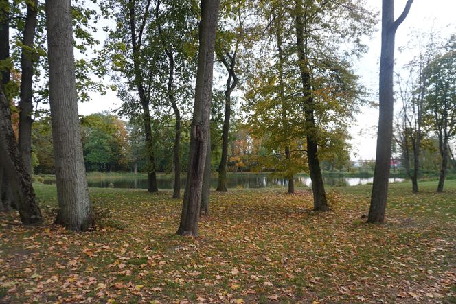 Park Lubomirskich w Białymstoku jesienią 